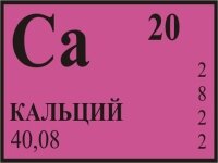Кальцій в продуктах